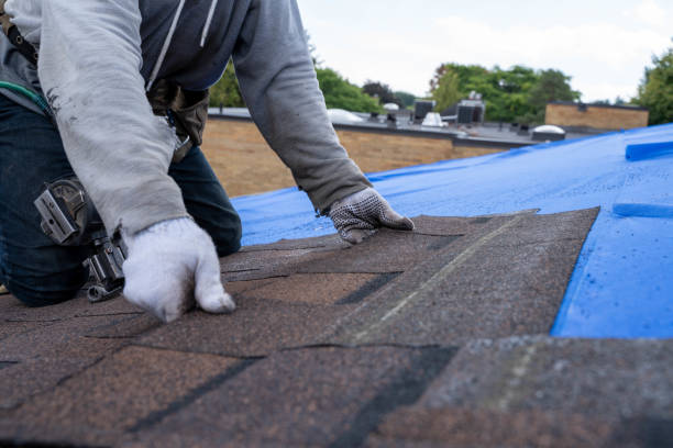 Best Metal Roofing Contractor  in Three Rivers, CA