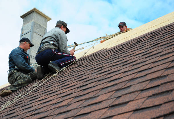 Roof Gutter Cleaning in Three Rivers, CA