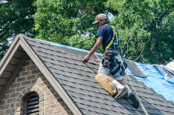 Best Roof Maintenance Services  in Three Rivers, CA